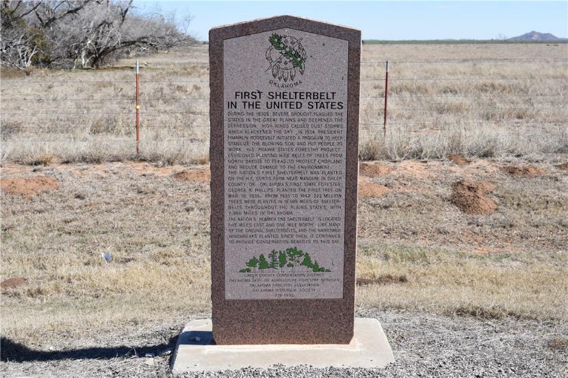 First Shelterbelt In The United States