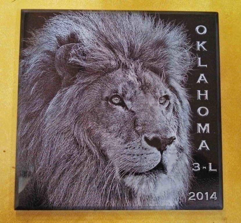Lions Club laser etched black granite plauque